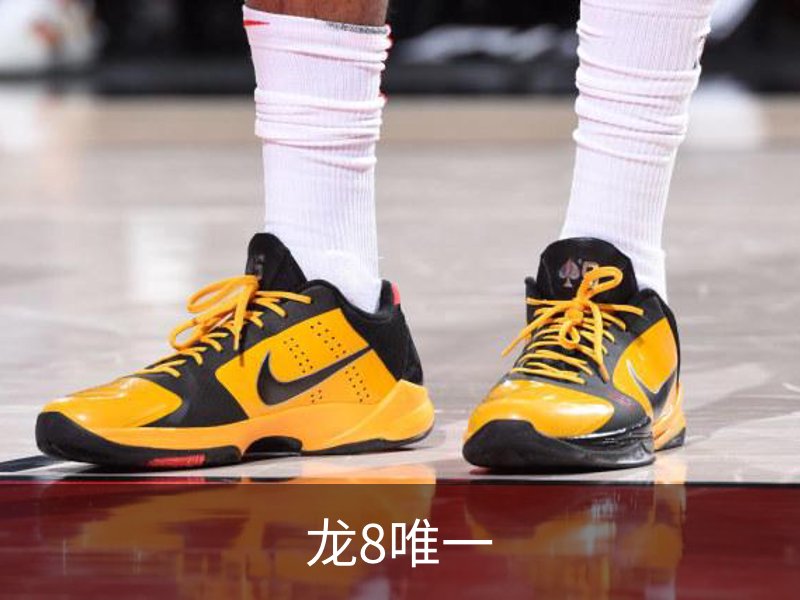 龙8唯一简介